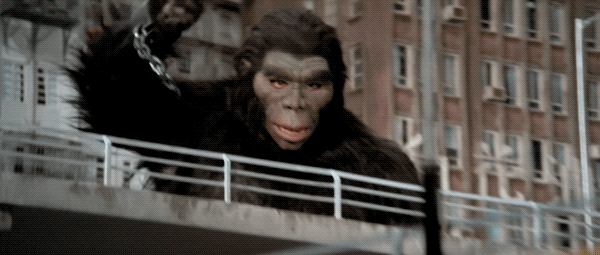 Smashin' more stuff!