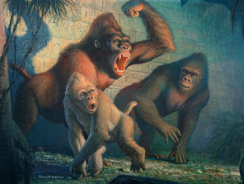 The giant ape family that live on the island of Krangoa