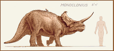 Monoclonius drawing shown next to human figure to illustrate scale