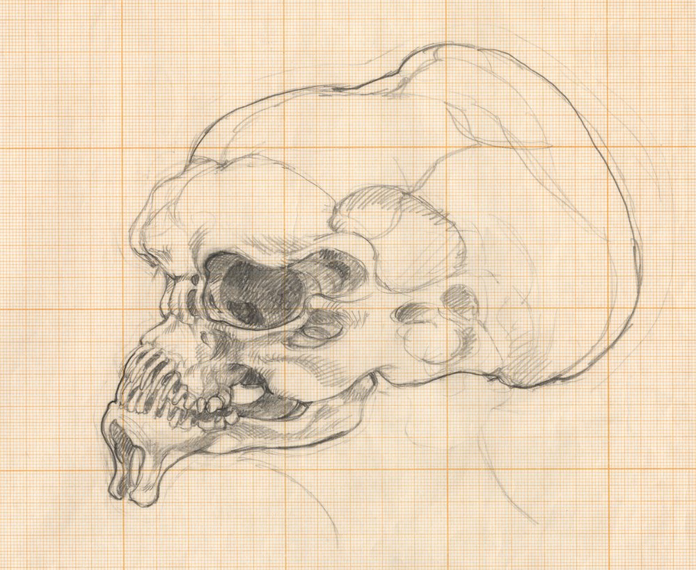 Above: Ron Cobb concept drawings for NIGHT SKIES