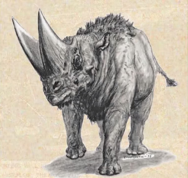The prehistoric mammal Arsinoitherium