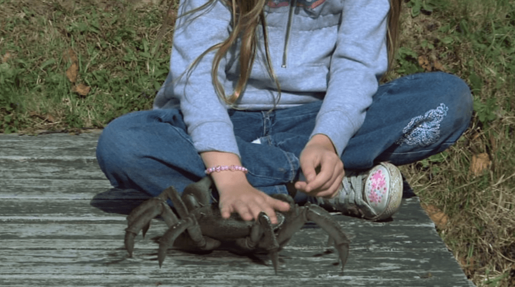 The girl bonds with the fresh water crustacean