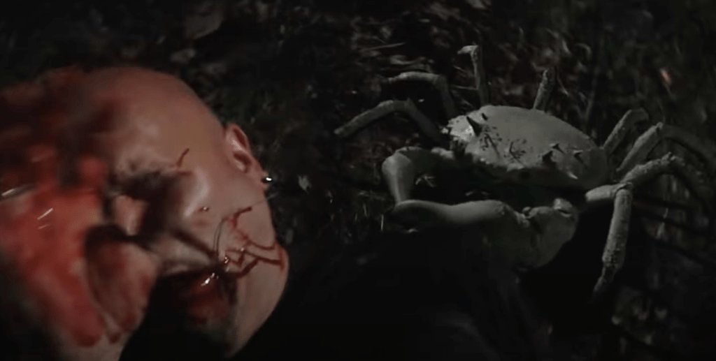 A smaller but just as nasty crab!