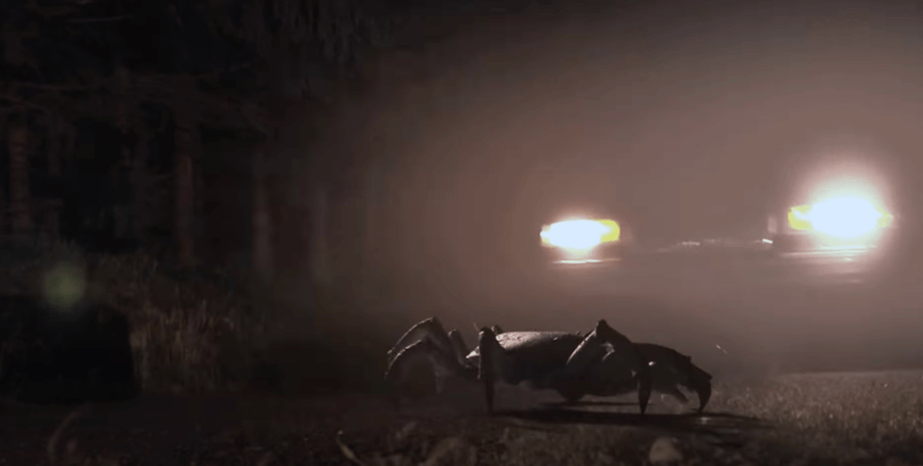 A baby crab skitters across the road