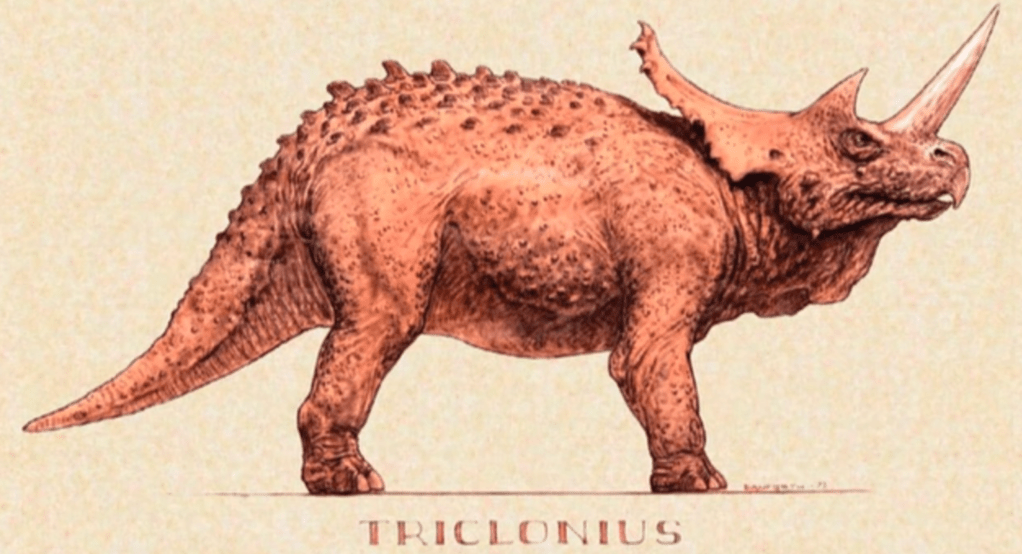 The Triclonius