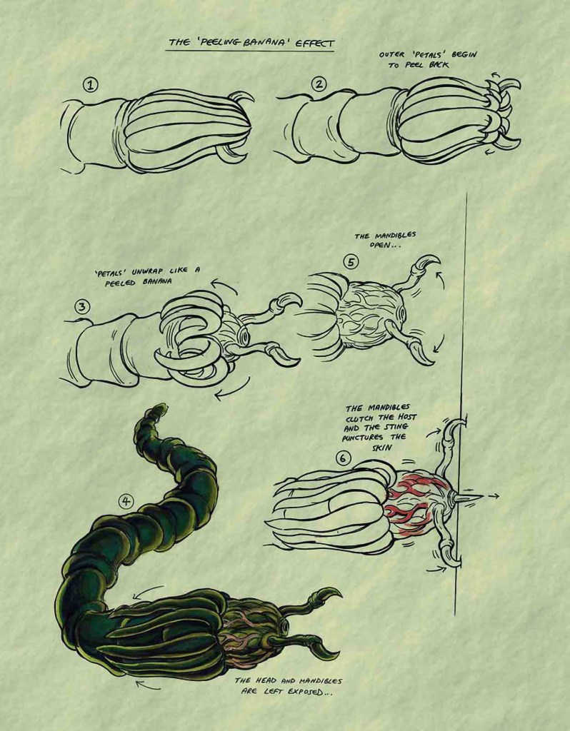 Above: concept designs for the Swarmer alien creatures