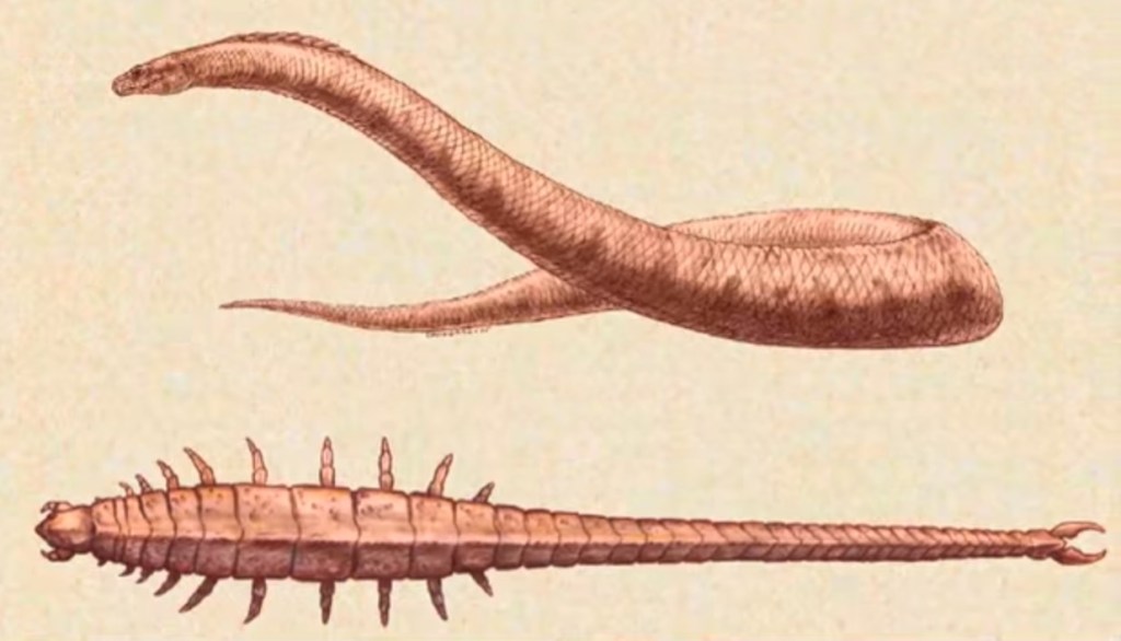 The reptilian eel and the centipede creature, which has a tail-pincer
