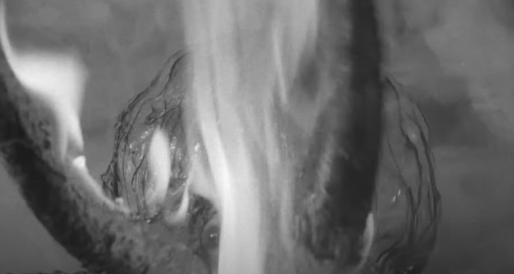 A molotov cocktail sets an alien alight!