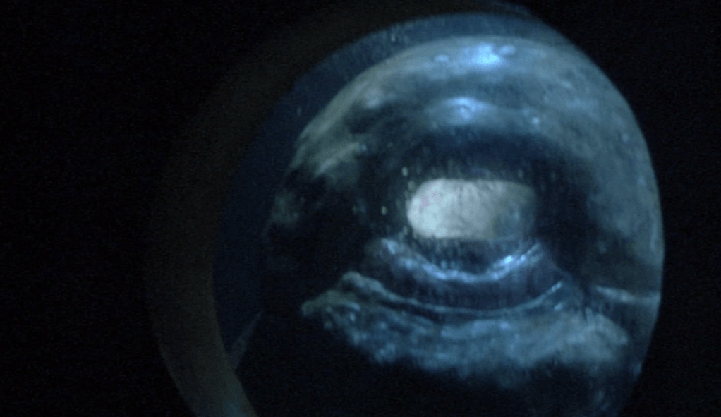 The octopus stares into the diving bell