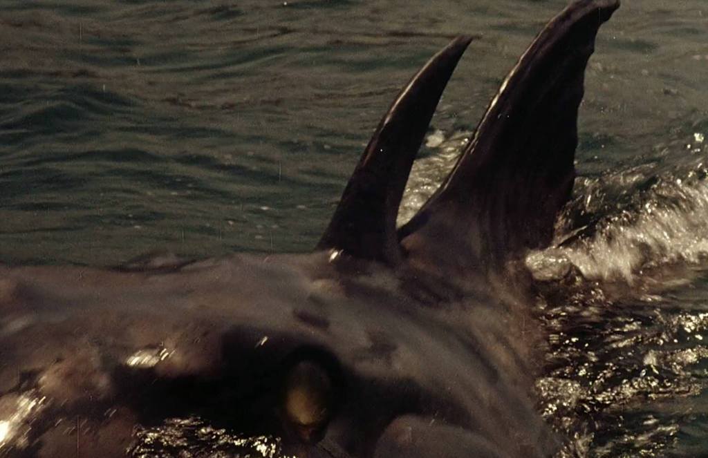 The fish-beast has a double dorsal fin