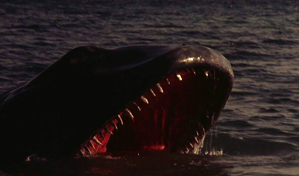 It's got a big mouth!