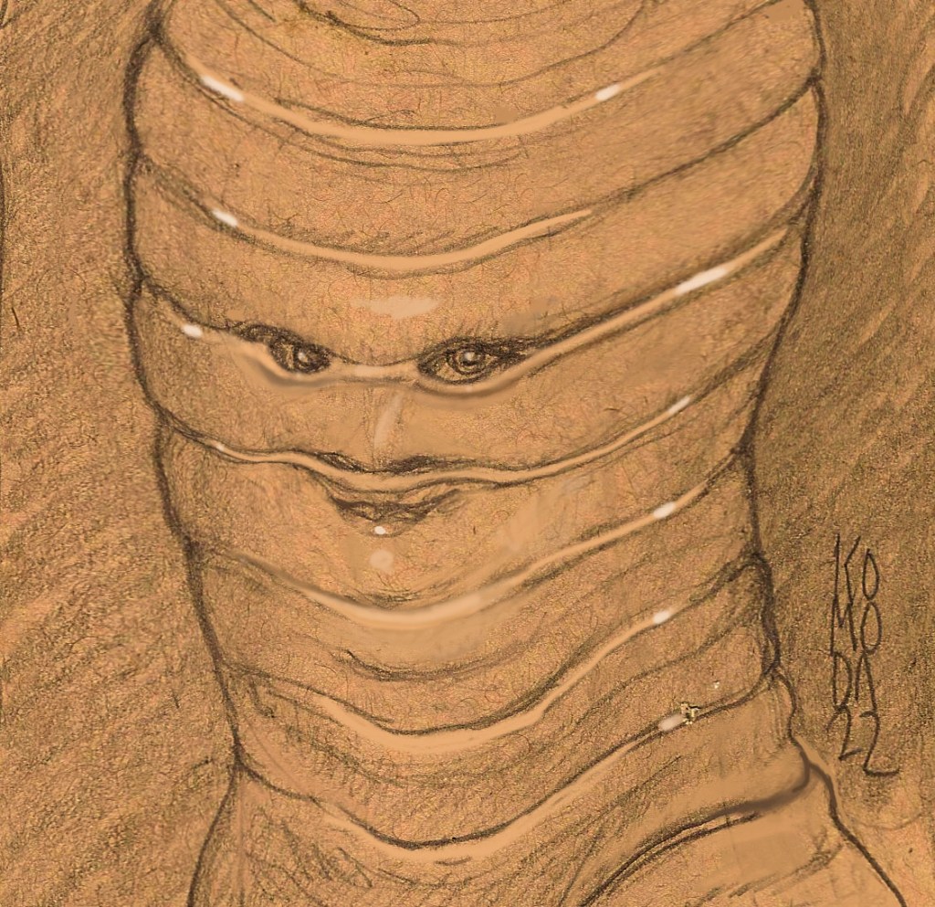 Paul's final drawing, which was a basic idea for how the face prosthetic would look