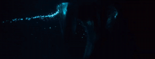 Just what is this thing?