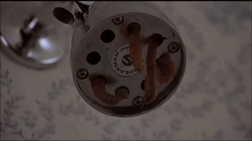 They're in the shower!