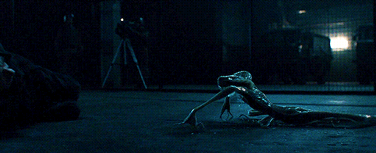 It's a nasty little critter