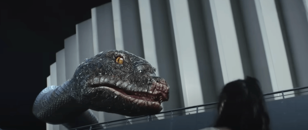 Super-sized snake on the prowl!