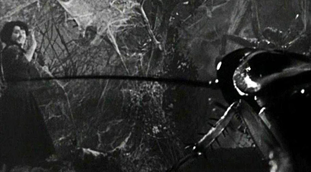 Attack of the giant cockroach!