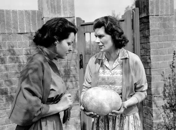 Michele realises that this is a giant insect egg!