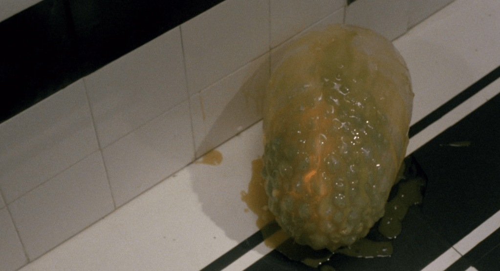 
The egg in the bathroom!