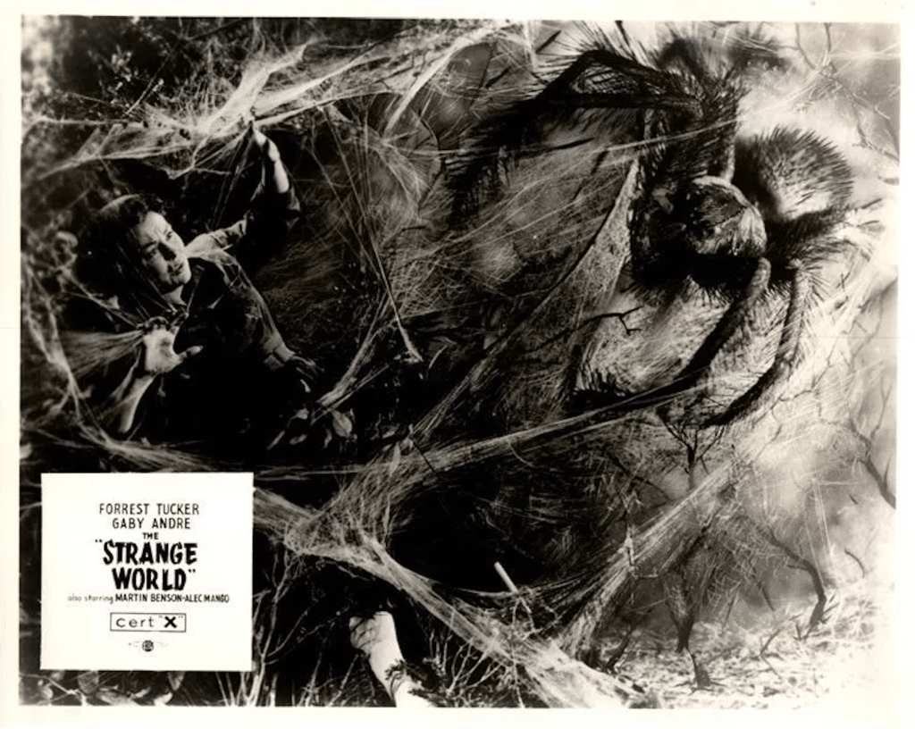 Above: three lovely lobby cards!