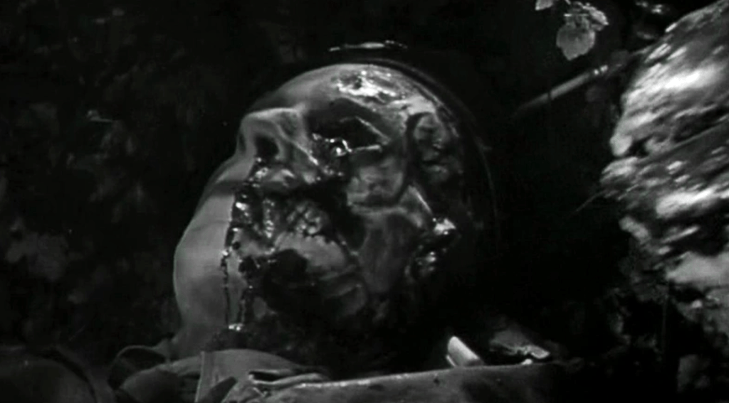 A bug eats a soldier's face!