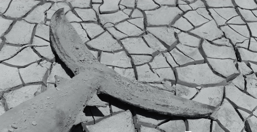 A mermaid is found on the dry, cracked seabed