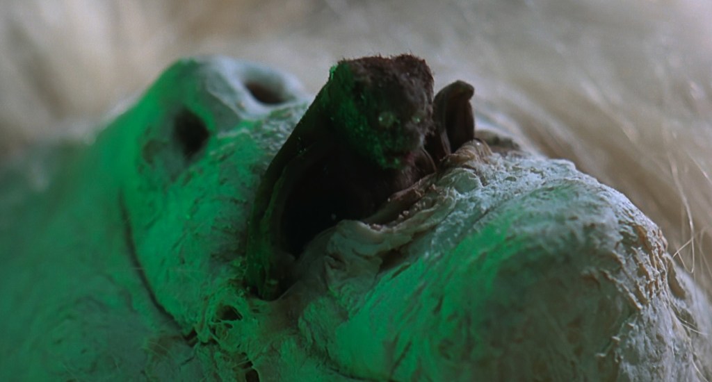 The bat-thing pushes itself out of the hag's mouth!