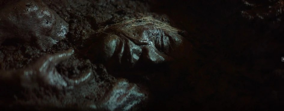 Another one of the bog bodies