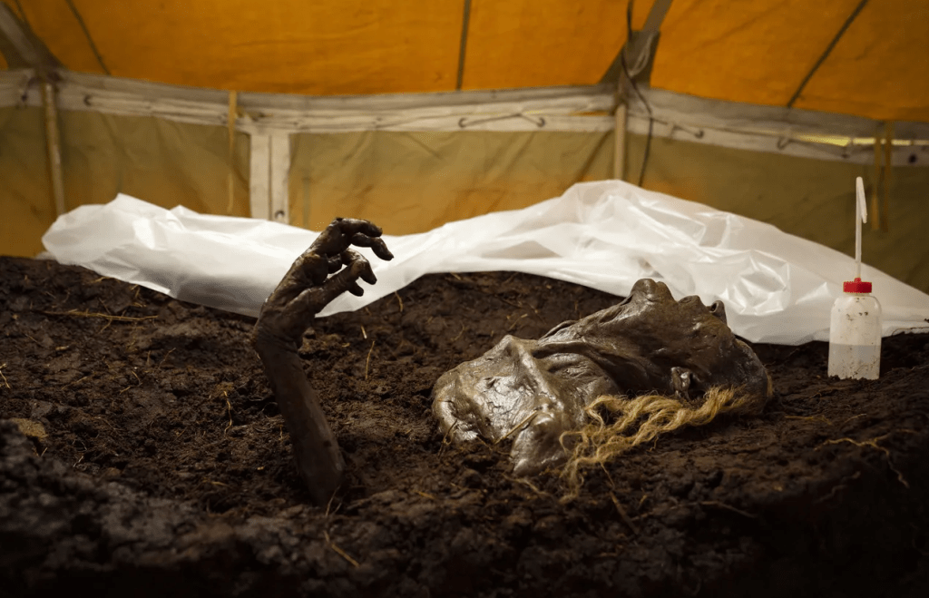 One of the cadavers found in the bog