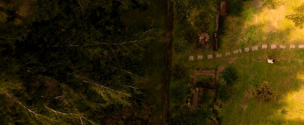 The forest lurks beyond the garden wall...