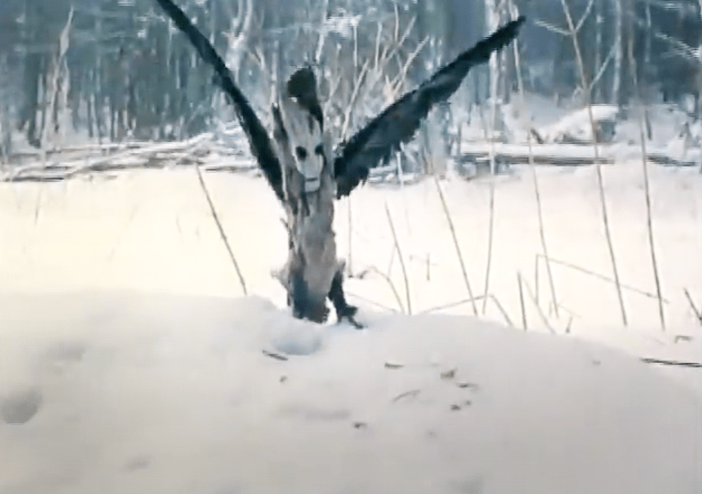 The animation was filmed on location in the outside environment