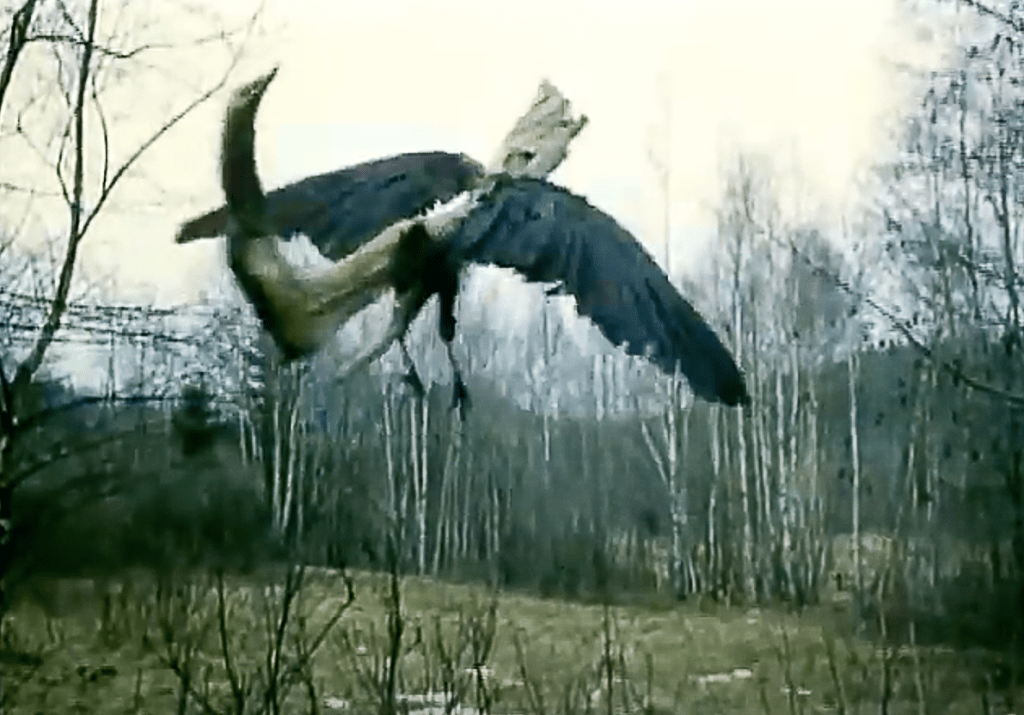 The winged stick-monster flies over the woods