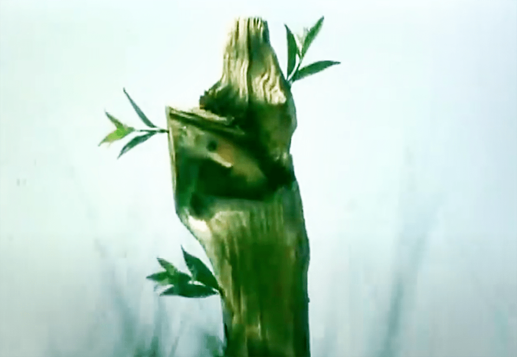 ...and it becomes a normal piece of wood again, which sprouts fresh leaves