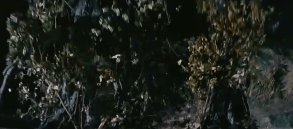 Monster trees attack!