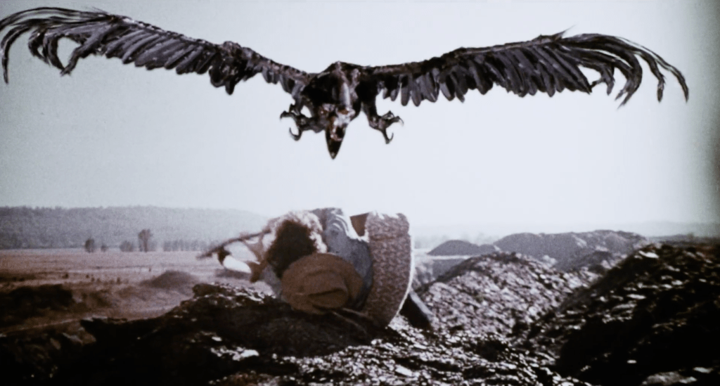 Ugly Bird attacks John!