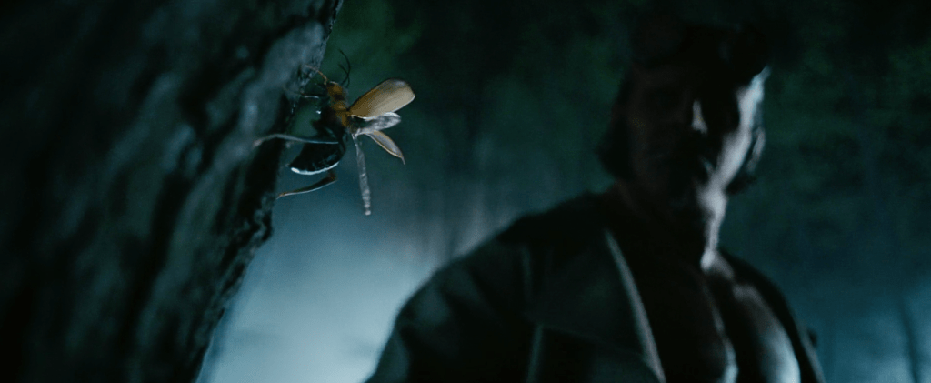 This insect is actually a witch's familiar