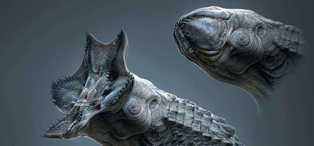 Ken Barthelmey illustration