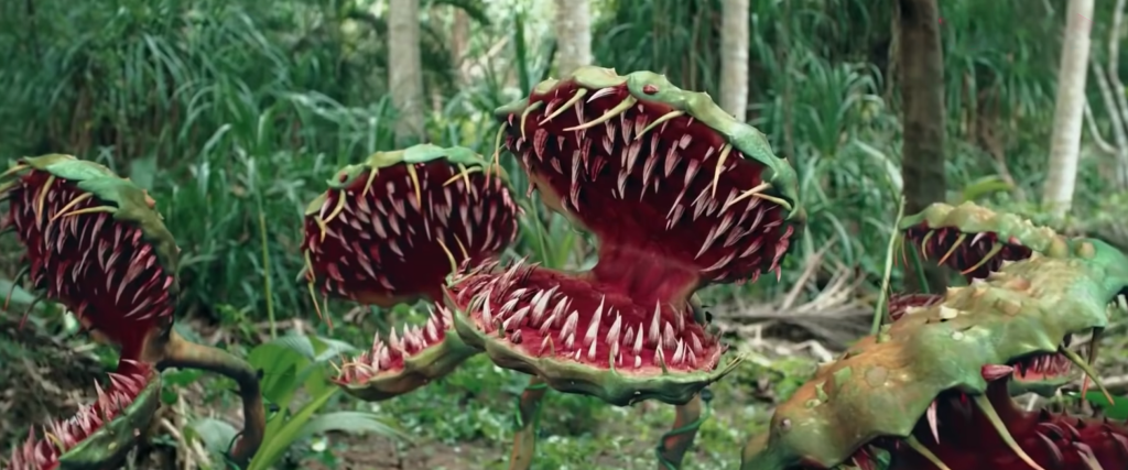 Another shot of the monster plants! Let's yell 'Yay' again!