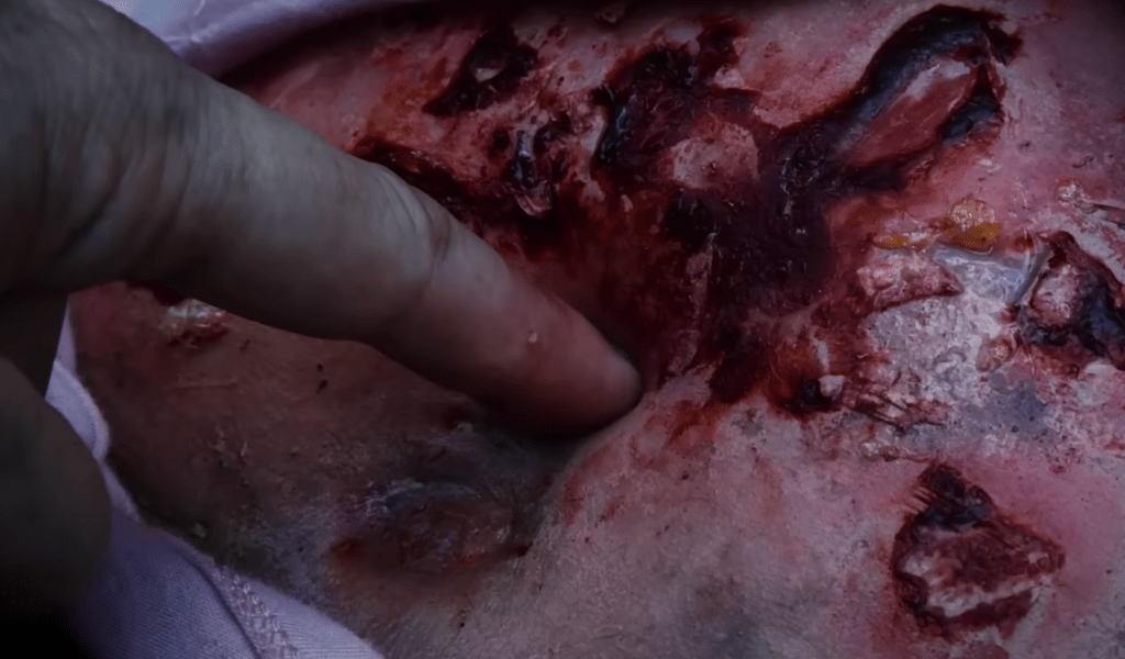 MOTHER OF FLIES does contain some grisly moments