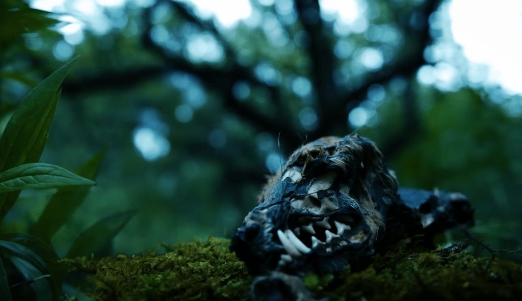 Solveig believes that things in the state of death are as relevant as when they were living