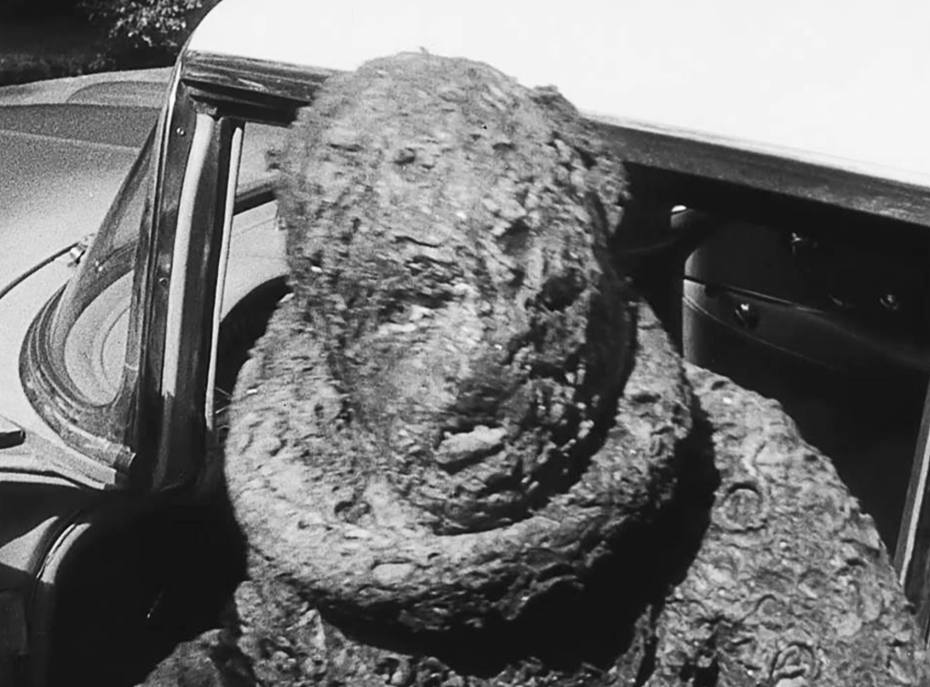 Dan the mutated man-monster