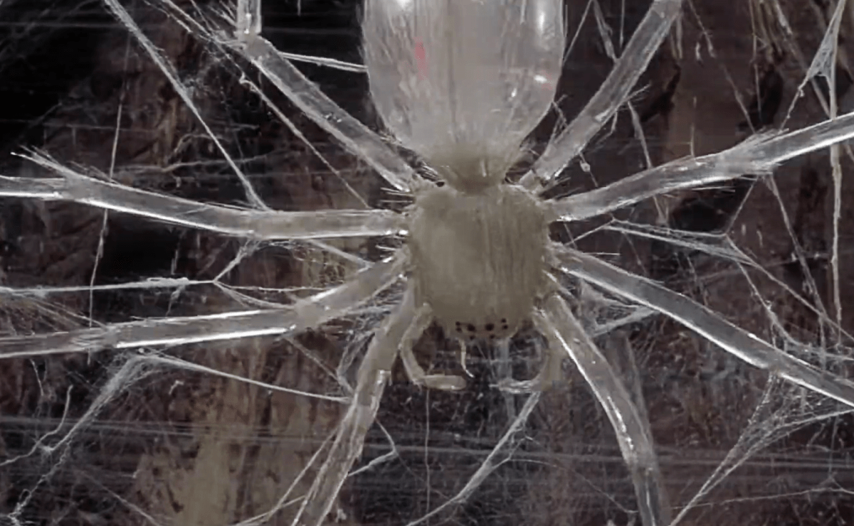 Crystal Spiders, Krakens and Man-Demons! An Interview with Animator Steve Archer